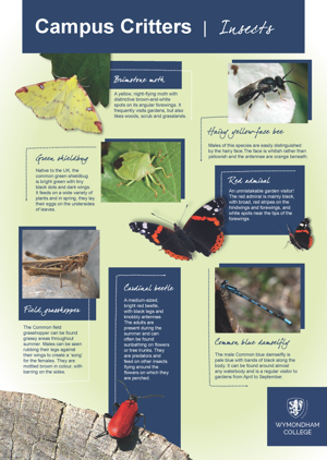 Wc campus critters posters page 2