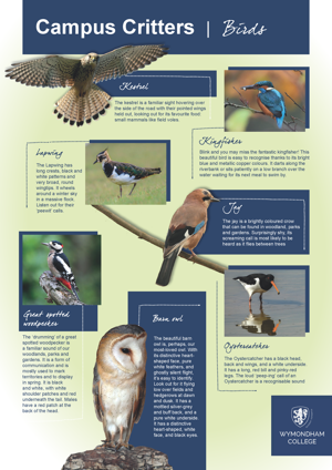 Wc campus critters posters page 3