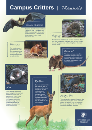 Wc campus critters posters page 1